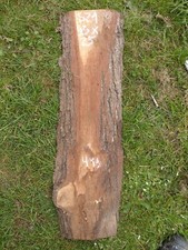 Eichenbohle Eichenbrett