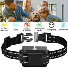 Antibellen Hundehalsband