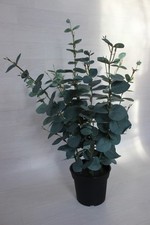 ❤️XXL FEJKA  Ikea