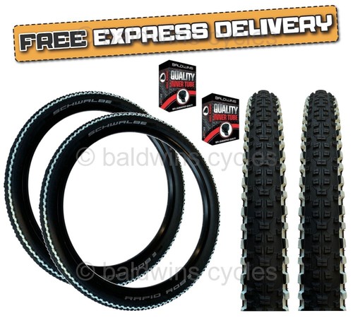 Paar schwalbe rapid rob - rapid, x