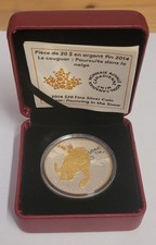 2014 20 $ Cougar: Pouncing in