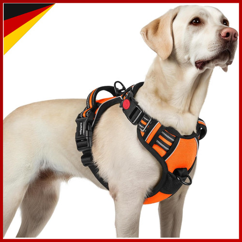Hundegeschirr verstellbar - hundegeschirr,