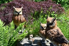 Eulen Kauz Uhu Gartenfigur