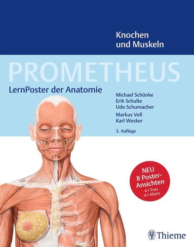 Erik schulte prometheus - schulte, ~