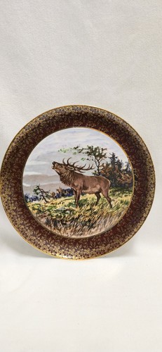 Hutschenreuther porzellan - hutschenreuther,