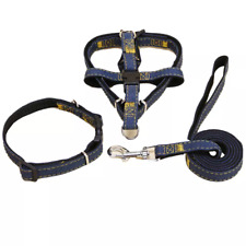 Jeans Hunde Haustier Halsband
