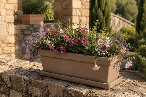 Mediterraner blumenkasten - mediterraner,