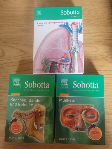 Sobotta lernkarten anatomie - sobotta,