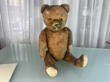 Alter Sammler Teddy Bär