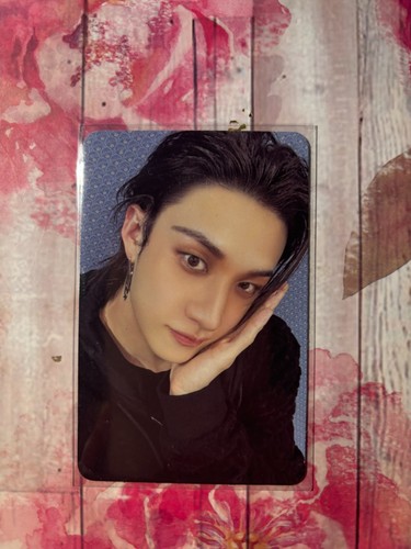 Stray kids photocard - stray,