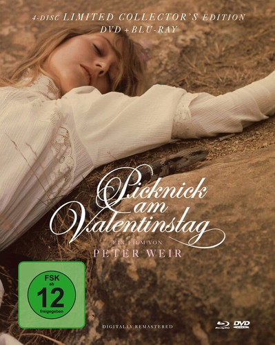 Picknick valentinstag - valentinstag,