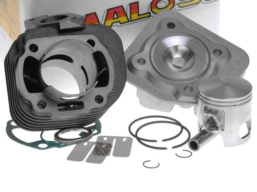 Zylinder kopf malossi sport - +,