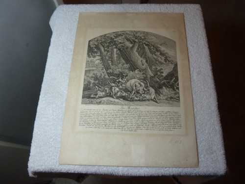 Johann elias ridinger alter - johann,