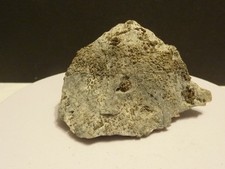 gediegen Silber mit  Nickelin