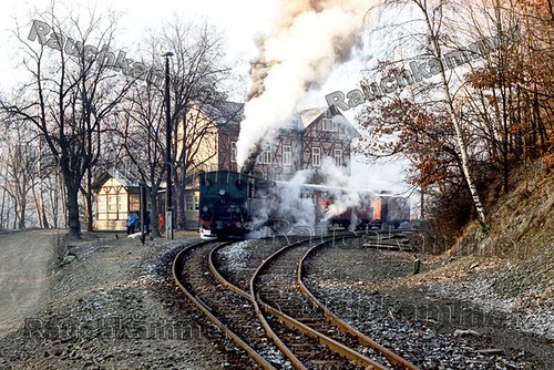 Fotoabzug 10x15 99 - dr,