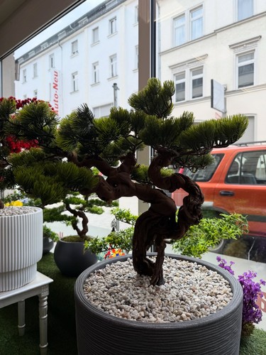 Handgemachter bonsai baum - handgemachter,