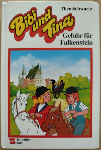 Buch bibi tina gefahr - buch,