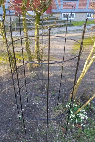 Rankhilfe metall 60cm h - rankhilfe,