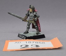 Citadel Paladin "Lady Zoneleigh" Metall OOP