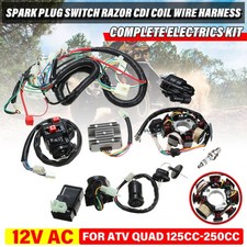 Komplette Elektro Kabelbaum Gleichrichter CDI Kit 12V für QUAD ATV 125cc-250cc