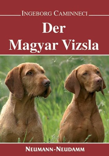 Der magyar vizsla - magyar,