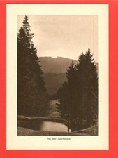 An der Schmücke * Paul Wolff