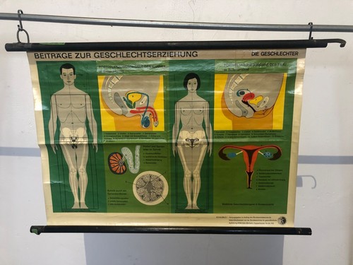 Schulkarte lehrtafel lehrkarte - schulkarte,