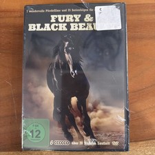 FURY & BLACK BEAUTY - 7