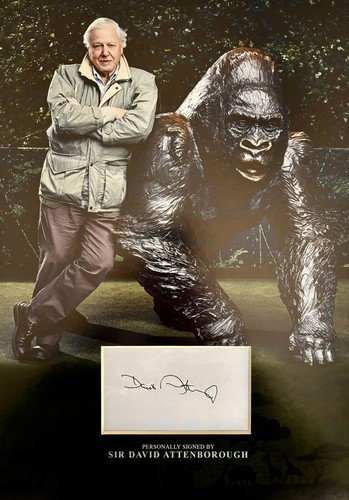 Sir david attenborough - sir,