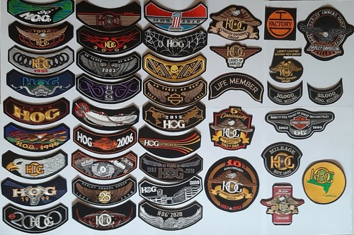Hog harley davidson - hog,