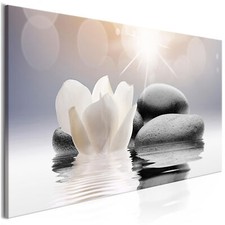 Blumen Spa Feng Shui Zen VLIES