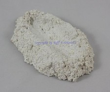 Muschelhalter Gr. M schwere