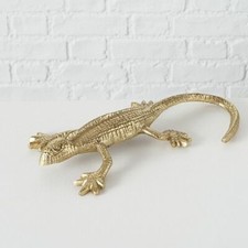 Eidechse gecko salamander - eidechse,