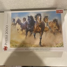 Großes Puzzle Konvolut 1000