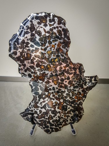 Pallasit meteorite 407 gram - 407, hi