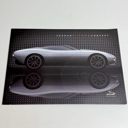 Jaguar type concept press - concept, /