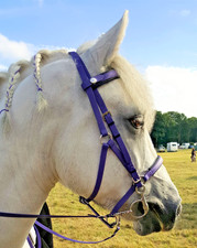 Synthetische Biothane 2-teilige Trense in matt lila verschiedene Größen