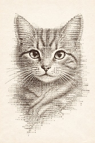 Katze weiß raster - weiß, pop