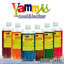 AKTION Slush Eis Sirup 2x 1L