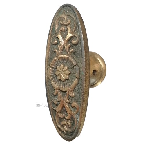 Fensterolive antik oval blüte - fensterolive,
