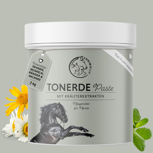 Tonerde paste pferd - paste,