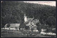 Ilfeld i. Harz, Gasthaus und Hotel Netzkater, Ansichtskarte 
