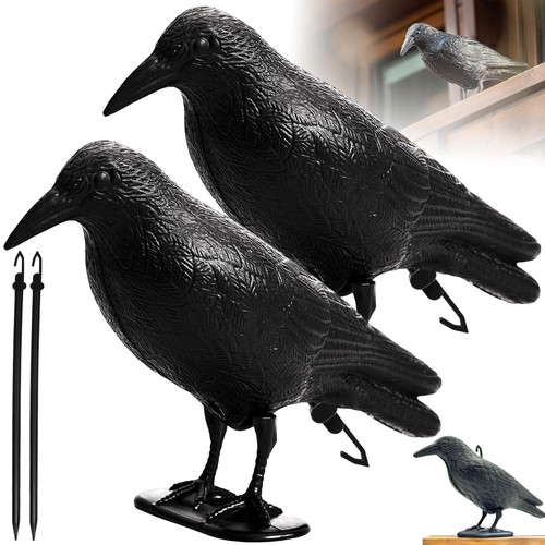 Vogelabwehr für balkon und - vogelabwehr,