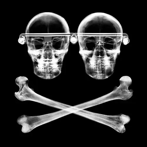 Orbital the altogether - -,