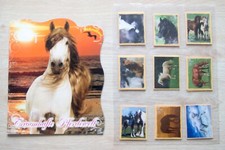 Panini Traumhafte Pferde