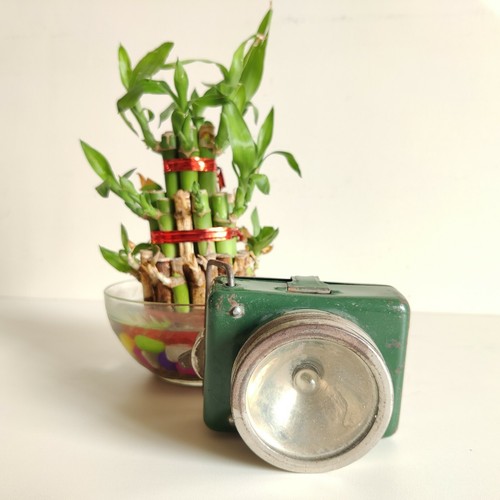 1960er vintage sardar 1 - vintage, no.1