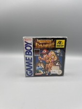 🌸Adventure Island II