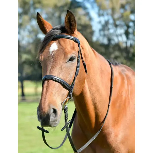 Kincade classic plain raised - kincade,