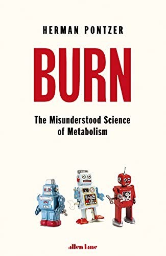 Burn the misunderstood - the,