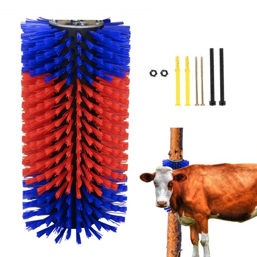 Kratzbürste für pferd - kratzbürste, und